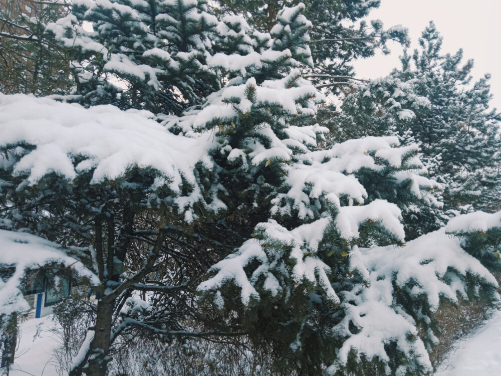 下雪