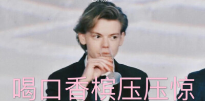 #表情包##桑总##托马斯桑斯特##Thomas Sangster#