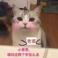 猫咪表情包 请收好