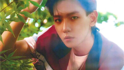 边伯贤~橙光背景~｡◕‿◕｡几宝ぴ