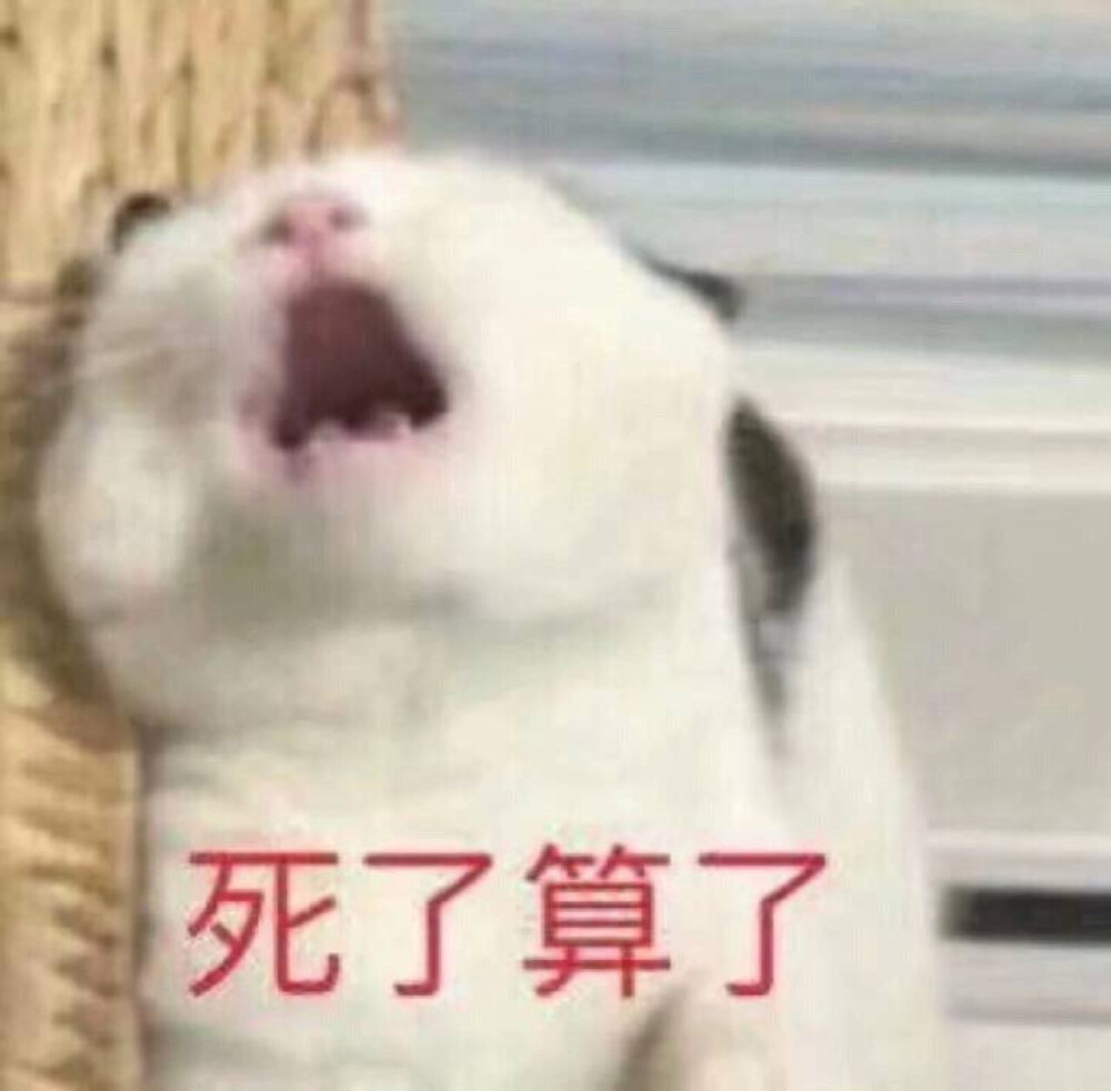 萌萌表情包