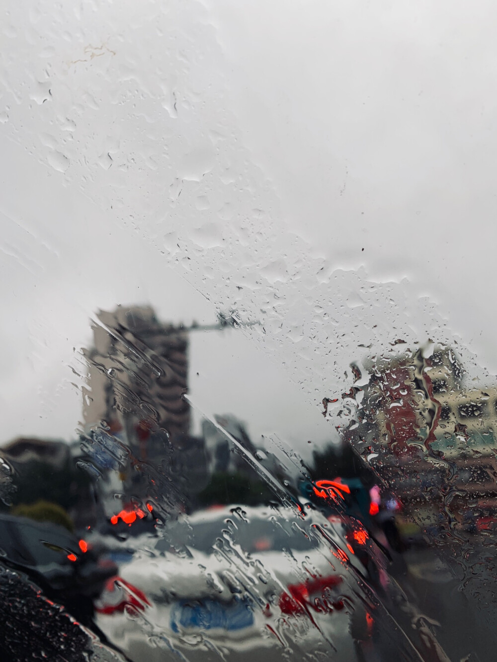 “雨下整夜 我的爱溢出就像雨水
窗台蝴蝶 像诗里纷飞的美丽章节”