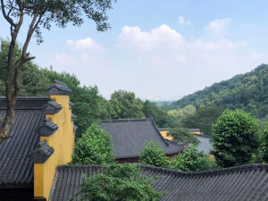文摘
