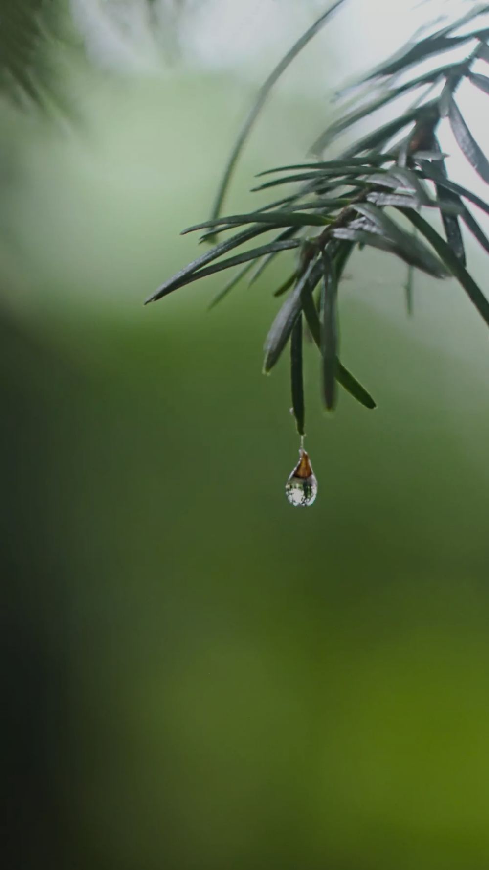 唯美 自然风景 高清壁纸