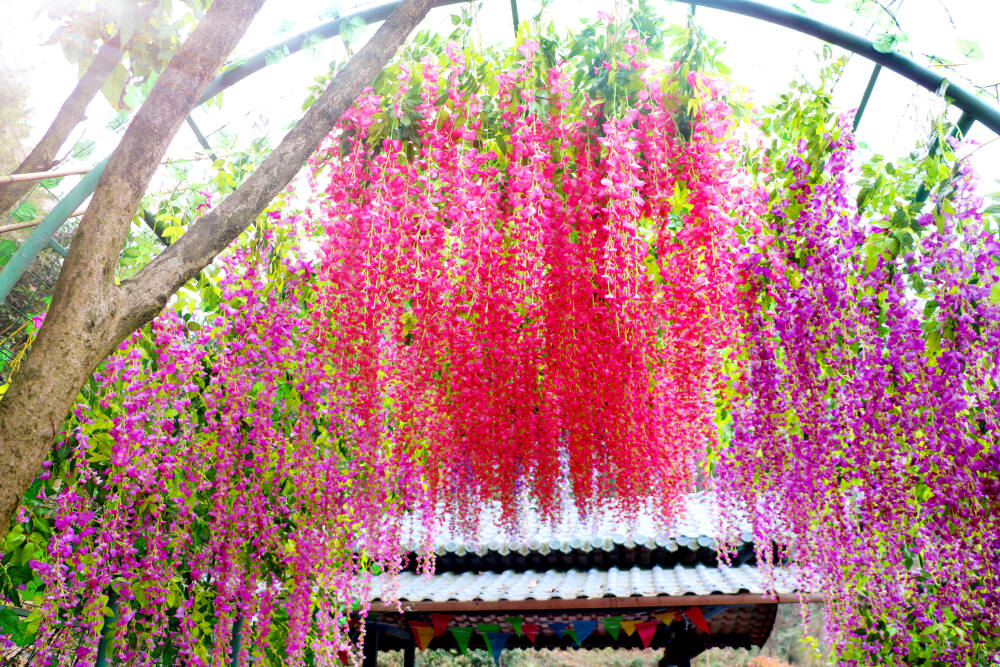 泸州花田酒地幸福酒久七彩玻璃栈道祝大家新春快乐