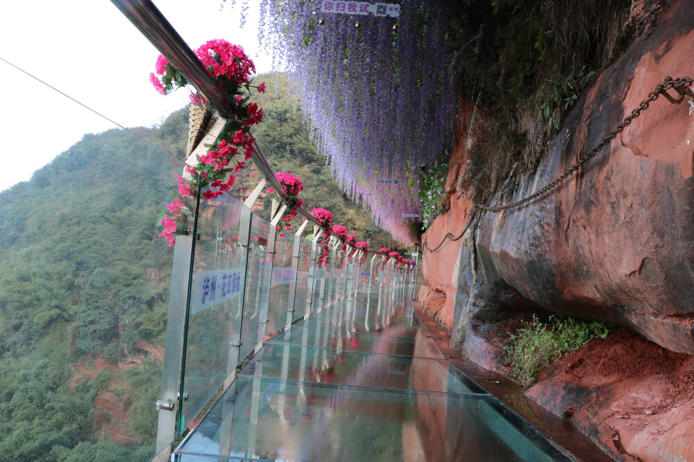 泸州花田酒地幸福酒久七彩玻璃栈道祝大家新春快乐