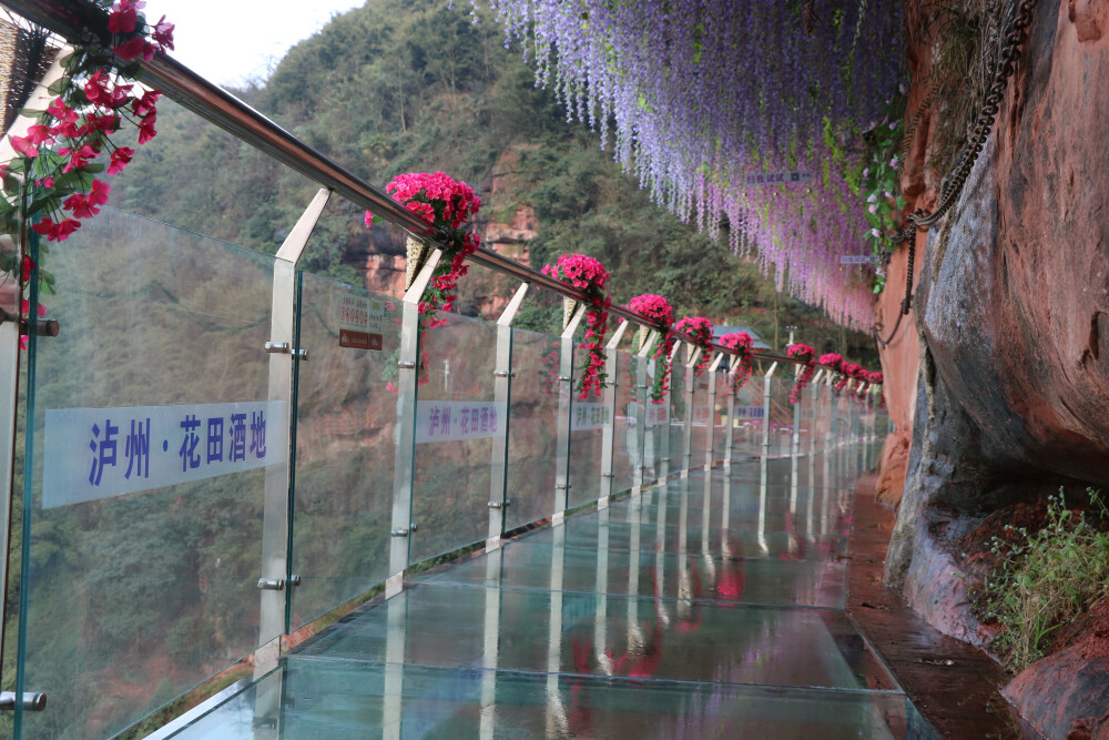 泸州花田酒地幸福酒久七彩玻璃栈道祝大家新春快乐