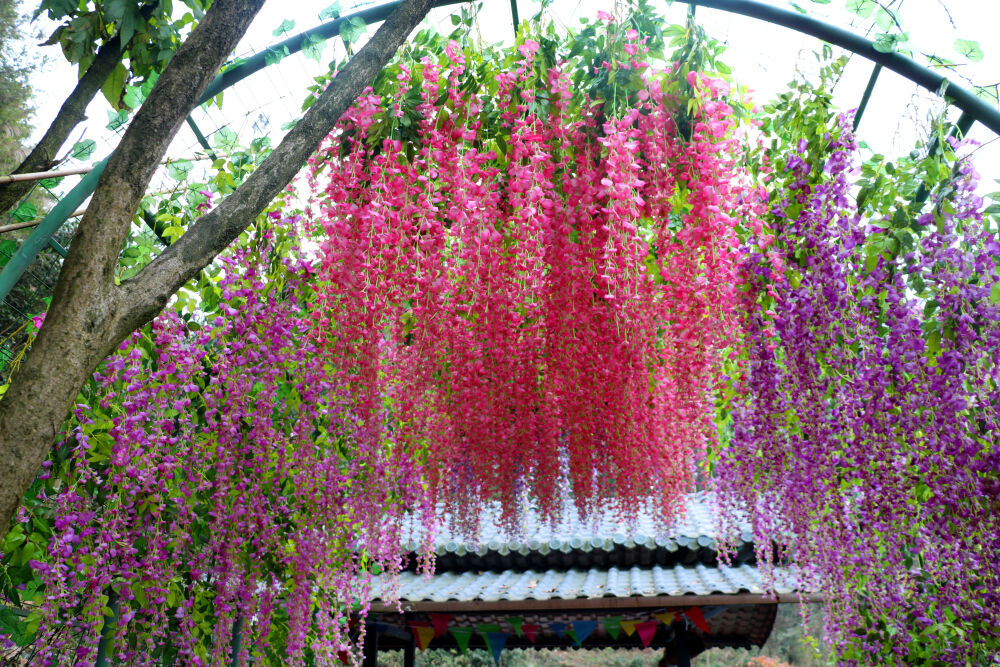  “中国·泸州·花田酒地幸福酒久七彩玻璃栈道”是国西南具特色的七彩玻璃栈道项目。该项目依托于酒城泸州盛产的中国高端白酒酒文化为主题背景打造，总体投资2500万元。栈道全长1573米，分别有“登山休闲步道”、“瀑布玻璃观光平台”、“透明玻璃栈道”、“七彩玻璃天梯”、“七彩玻璃栈道”、“酒文化绝壁长廊”、“高山七彩玻璃滑道”、“东方神木展览馆”等众多项目内容。