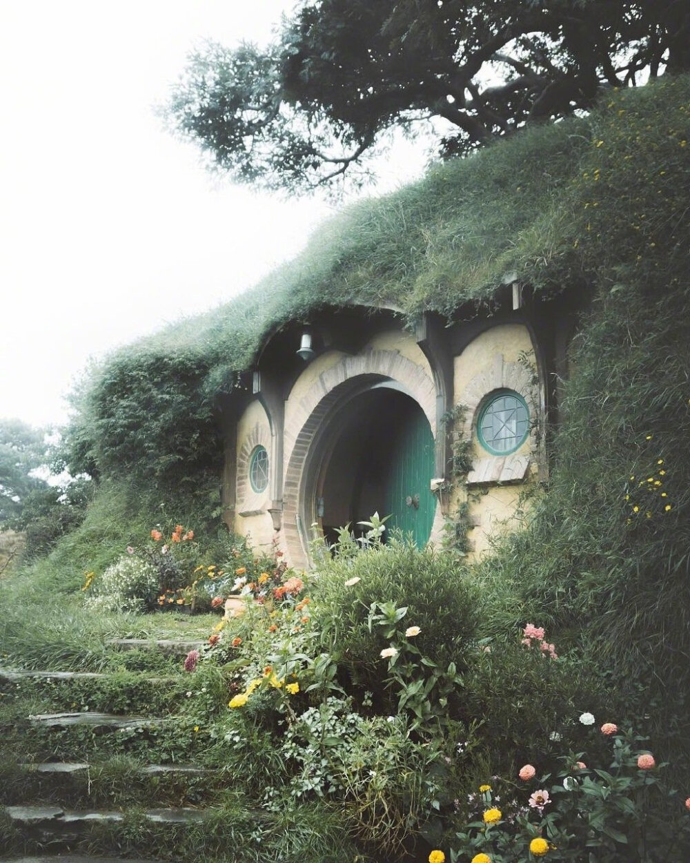 新西兰霍比屯Hobbiton