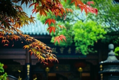 清晨入古寺，初日照高林——杭州灵隐寺。