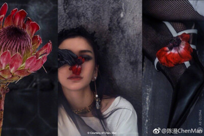 angelababy 时装