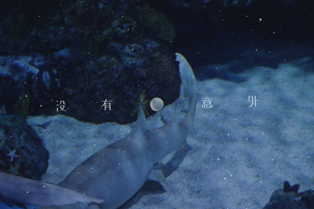 【蔡徐坤】【IKUN】
2.18／8:00
期待六公主
图源微博，有水印的注意水印