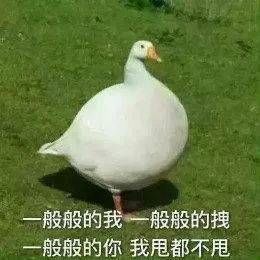 哈哈哈哈哈哈哈