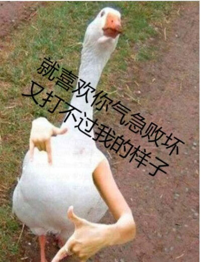 哈哈哈哈哈哈哈