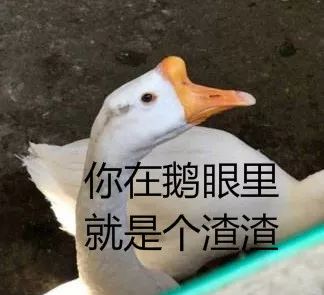 哈哈哈哈哈哈哈