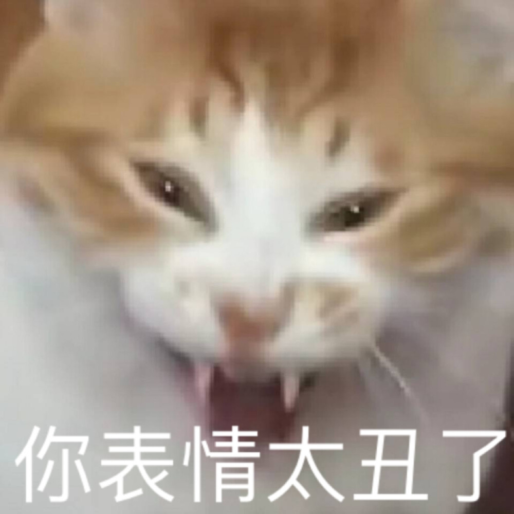 表情