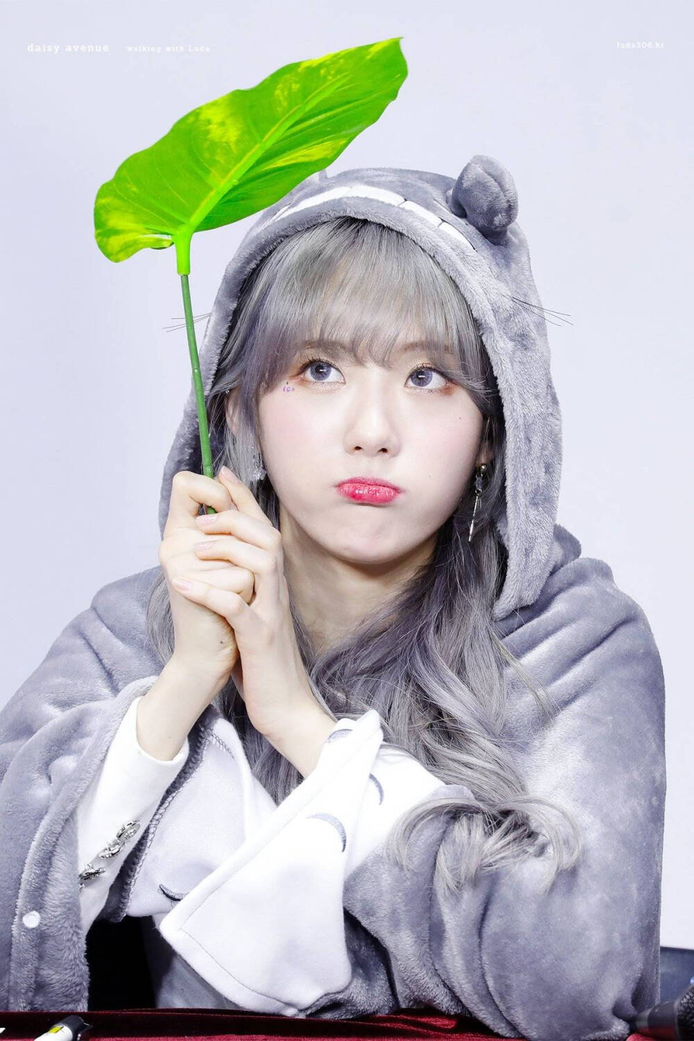 李luda