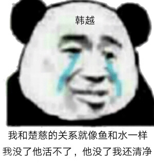 破云楚慈