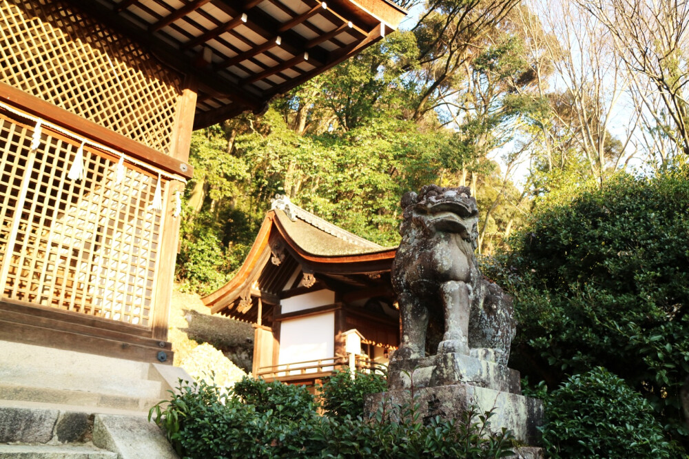 京都 宇治川