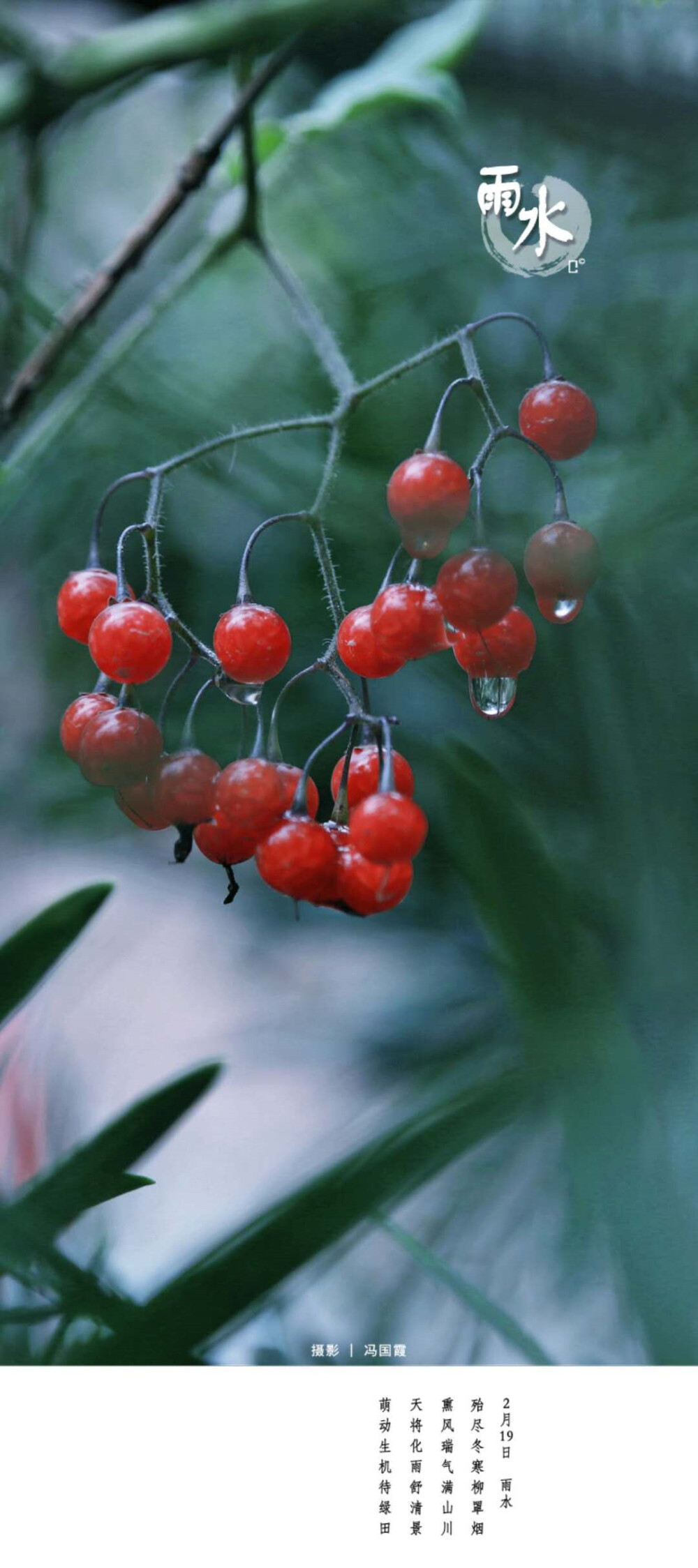 雨水