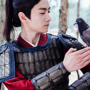 《独孤皇后》杨坚