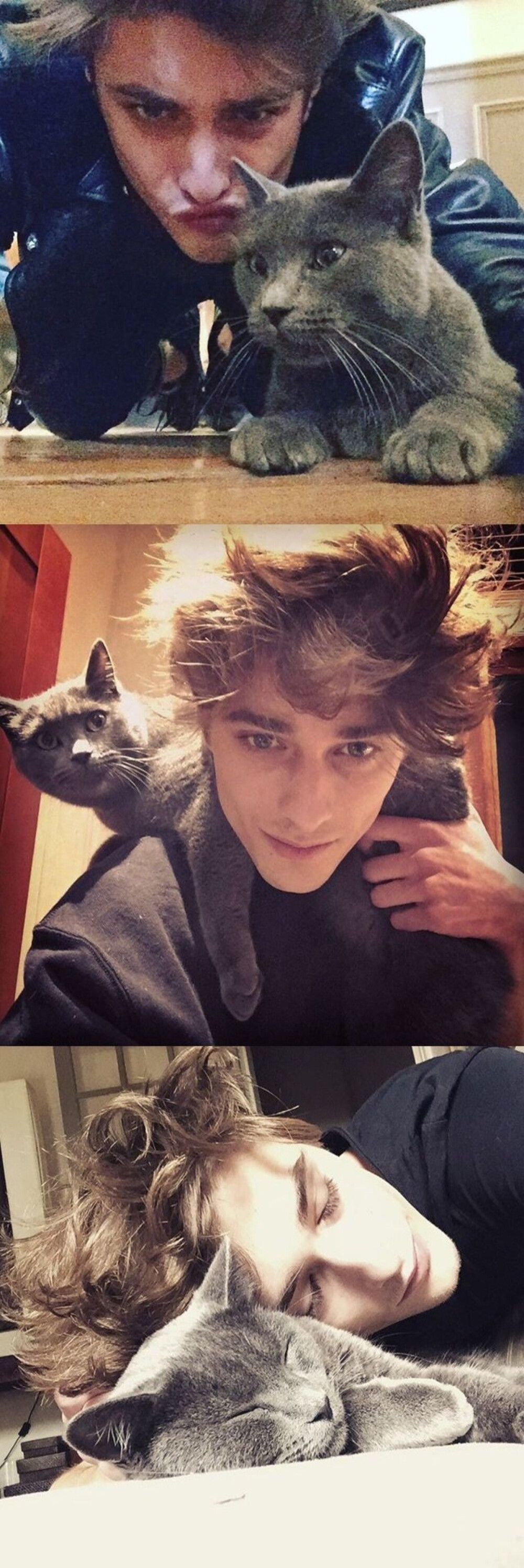 maxence danet-fauvel