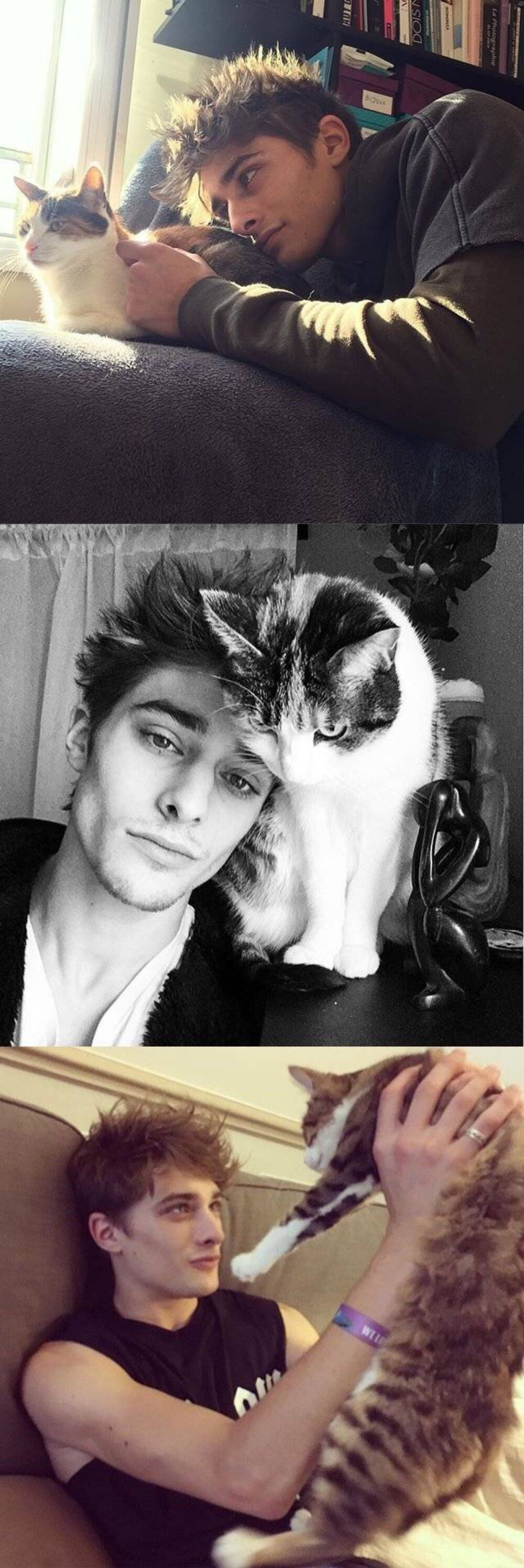 maxence danet-fauvel