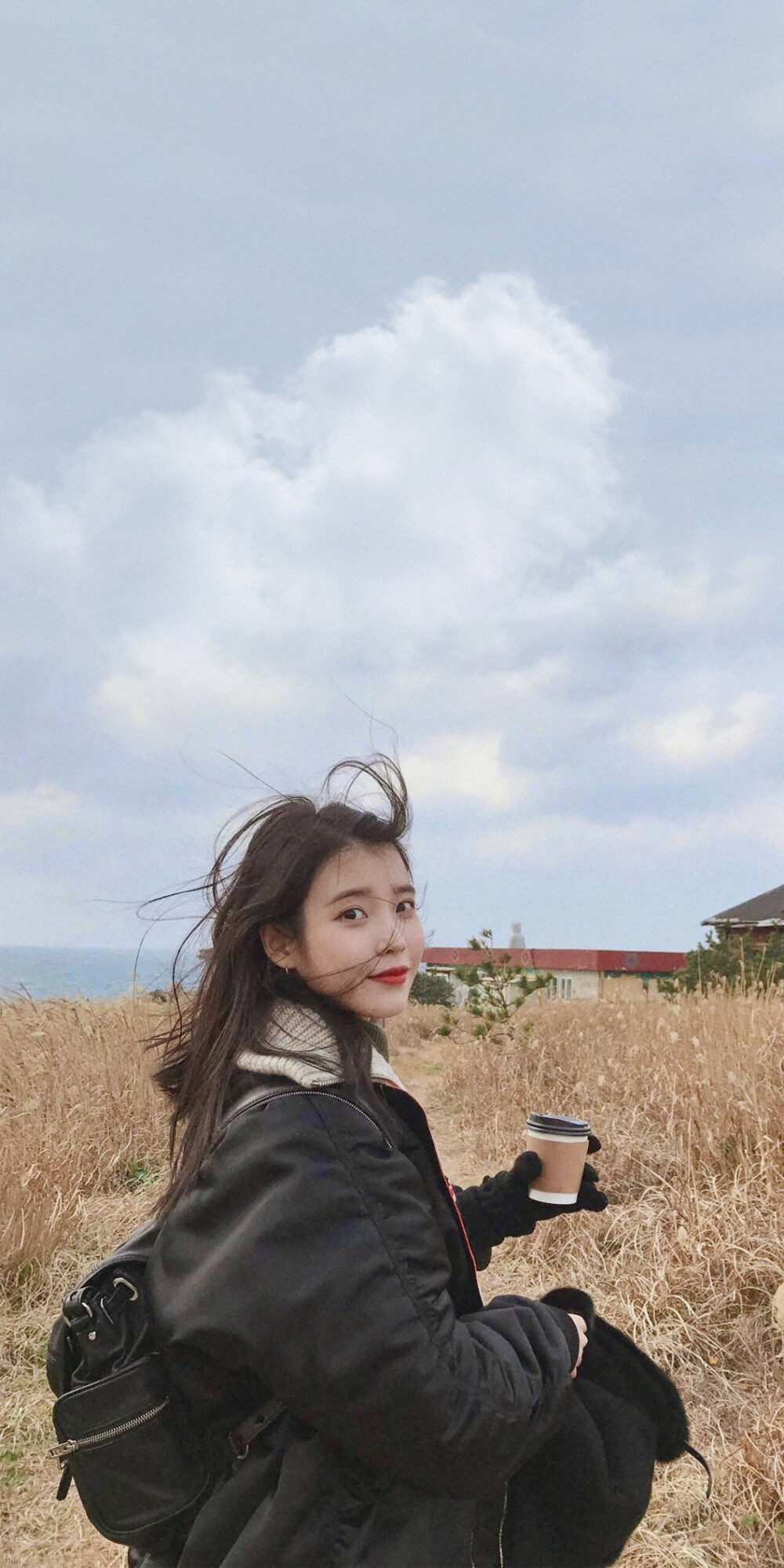 壁纸 iu