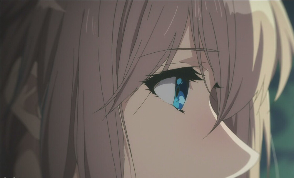 紫罗兰的永恒花园