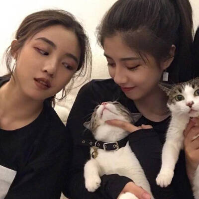 猫 女头 情侣头像