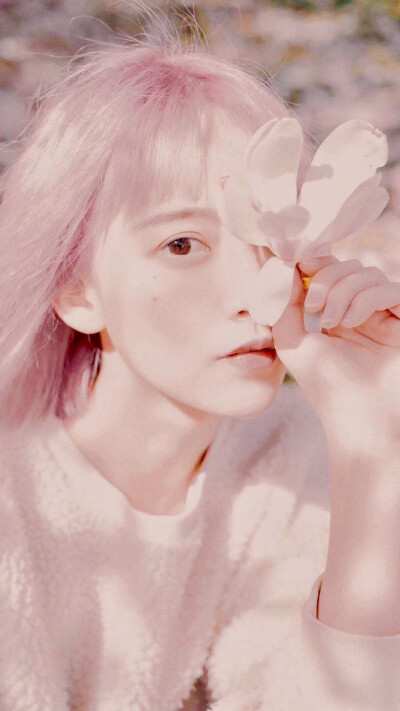 二传注明堆糖秋鴻