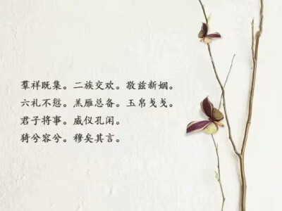 旧时中国结婚证书上的文字❤️