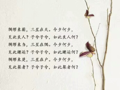 旧时中国结婚证书上的文字❤️