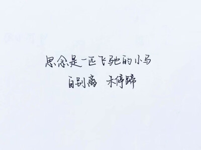 扎心语录.文字