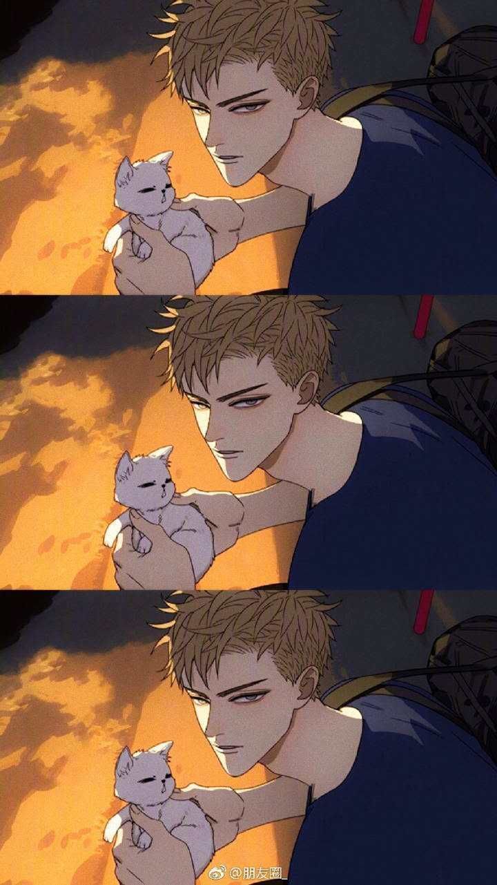 壁纸 头像