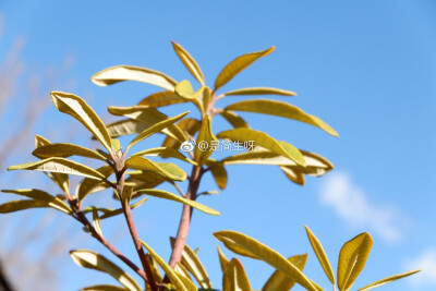 请在春天或者夏天里遇见我
因为那时候的我最美 最温柔 也最刚烈