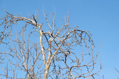 请在春天或者夏天里遇见我
因为那时候的我最美 最温柔 也最刚烈