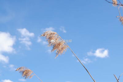 请在春天或者夏天里遇见我
因为那时候的我最美 最温柔 也最刚烈