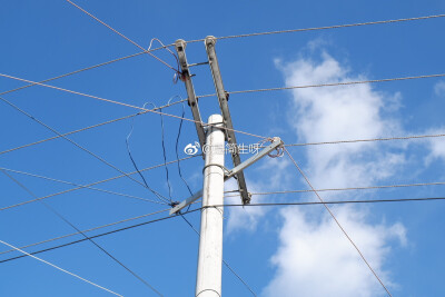 请在春天或者夏天里遇见我
因为那时候的我最美 最温柔 也最刚烈