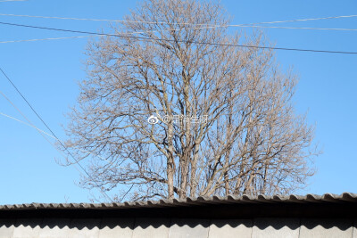 请在春天或者夏天里遇见我
因为那时候的我最美 最温柔 也最刚烈
