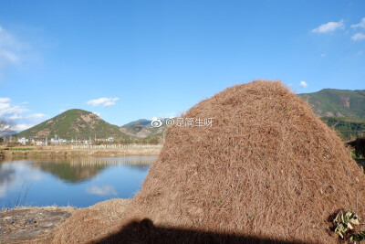 请在春天或者夏天里遇见我
因为那时候的我最美 最温柔 也最刚烈
