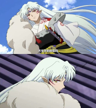 杀殿