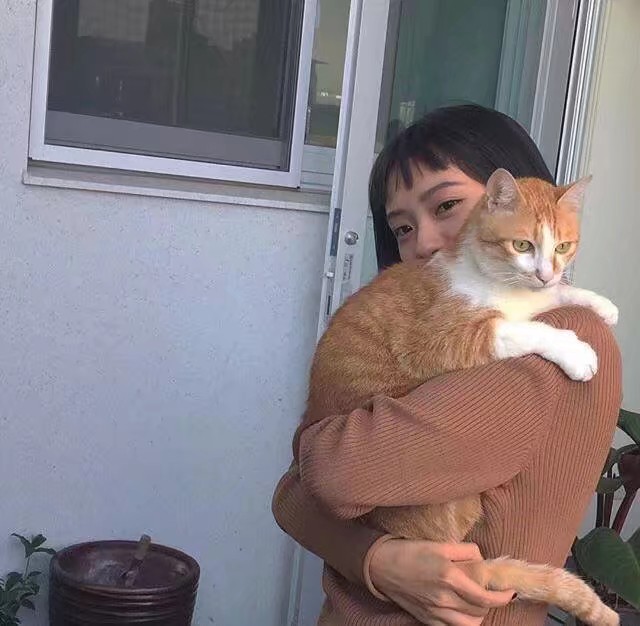 男头女头 抱猫抱狗爱心满满 你是最特别的那一个