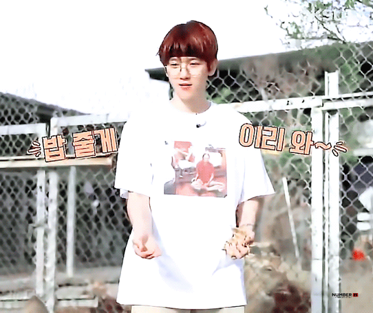 EXO 爬梯子的世界 边伯贤 动图 GIF