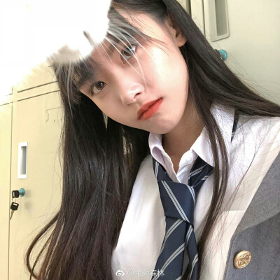 半藏森林
我的宝藏女孩