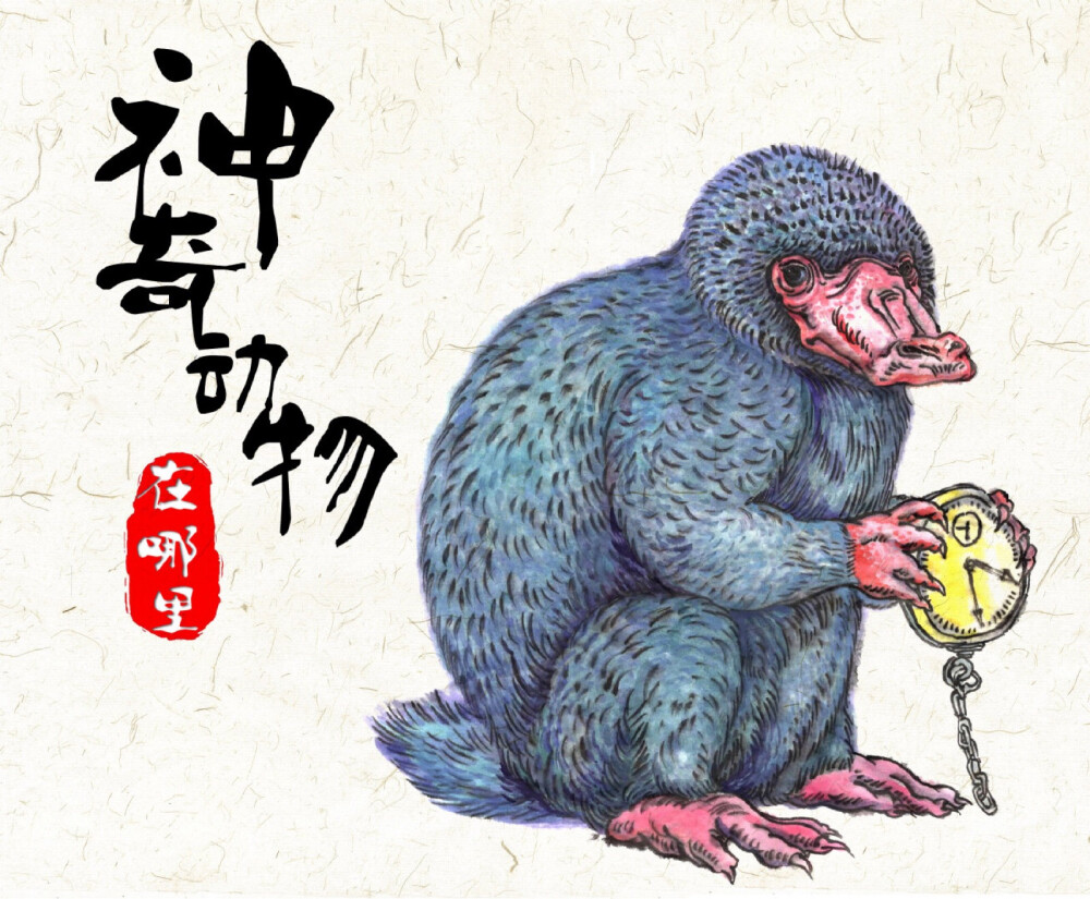 神奇动物在哪里
