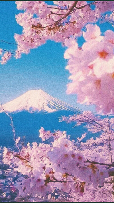 富士山