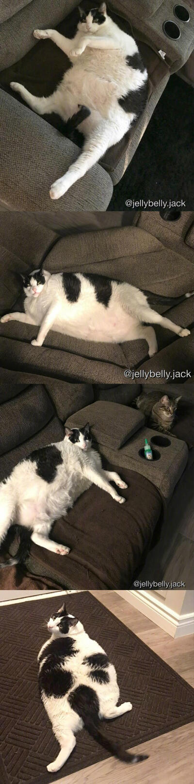 过完年后的你。ins：jellybelly.jack