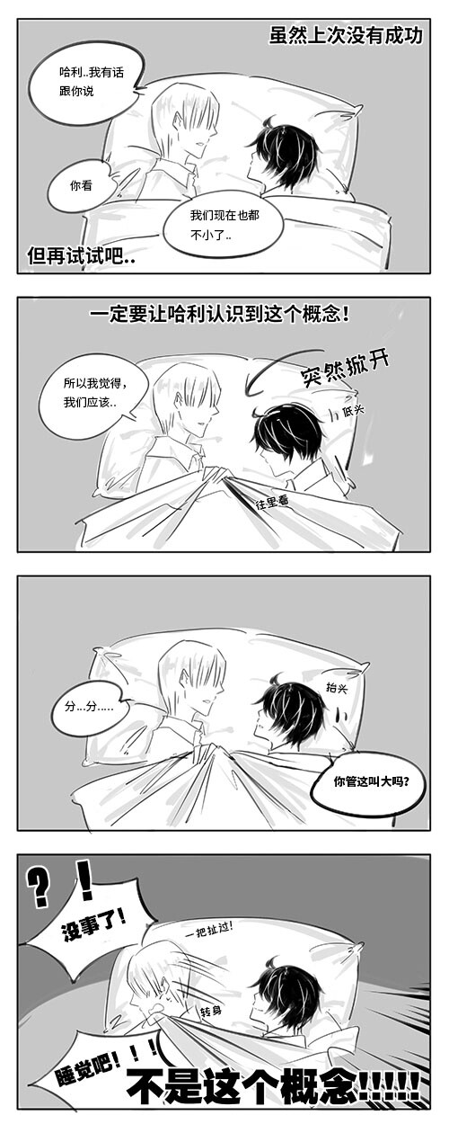 哈利波特 德哈 图源百度贴吧 ＠萤火碎流光