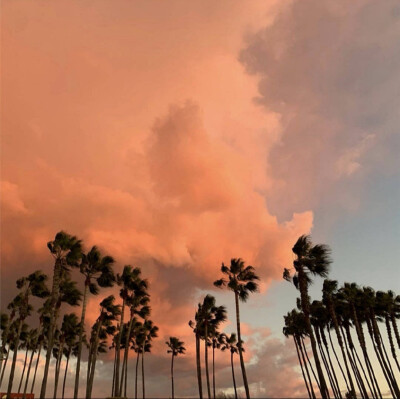 风景 壁纸 背景图